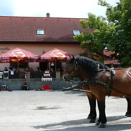 게스트하우스 Rodinny S Restauraci - Hospudka Na Navsi